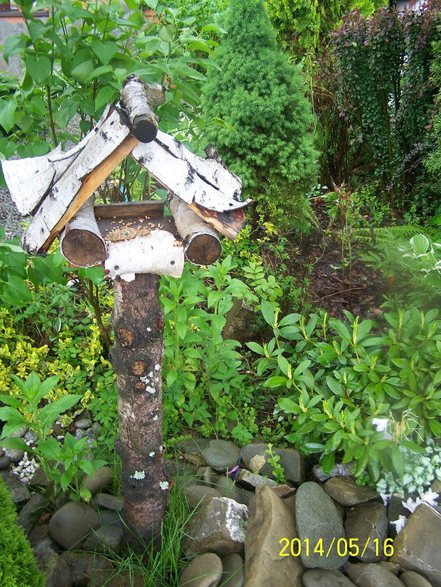 Mój synek uzupełnia karmnik nagminnie