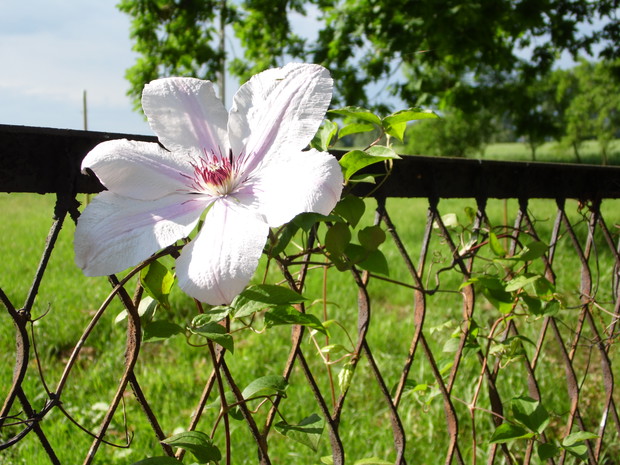 Podwojnik Jan Paweł II