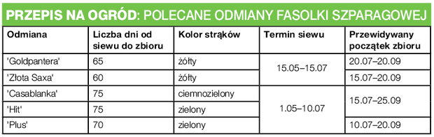 Polecane odmiany fasolki szparagowej.