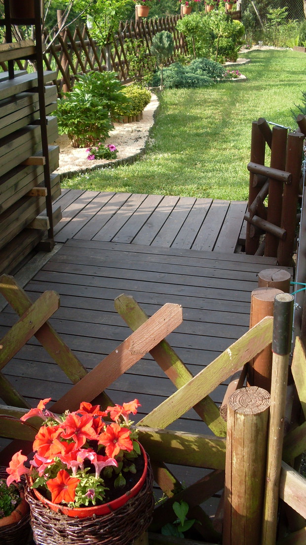 Przy wejściu na ogród też jest położona podłoga z desek drewnianych gdyż wiecznie było to miejsce wydeptane do  gołej ziemi  a  nie ładnie to wyglądało- teraz jest zupełnie lepiej.W oddali po lewej piwonia drzewiasta (łac Paeonia suffruticosa)