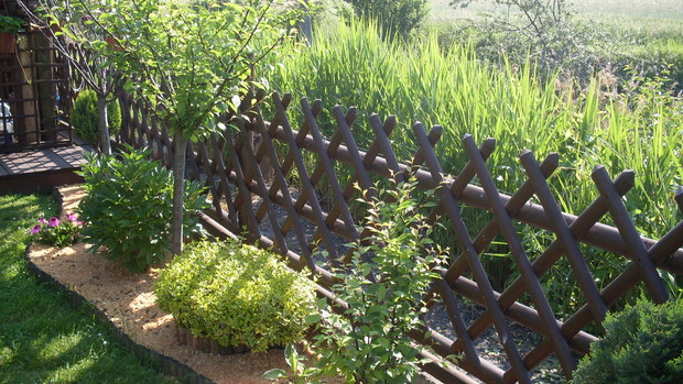 Rabata przy ogrodzeniu a tuż za nim rosną szuwary 