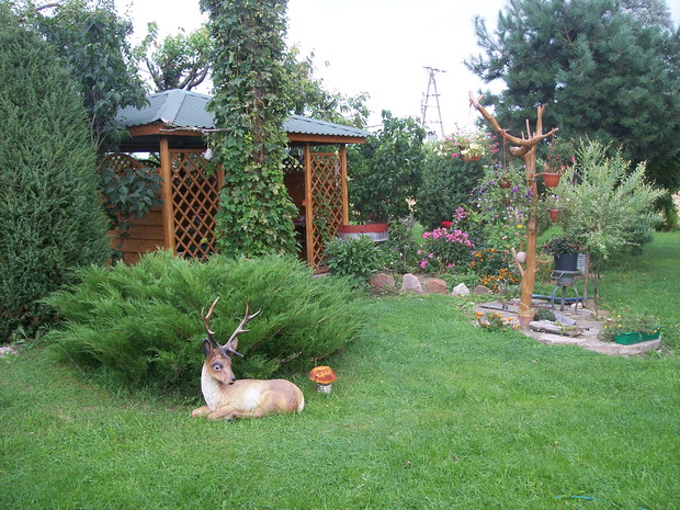 altana to ulubione miejsce wypoczynku
