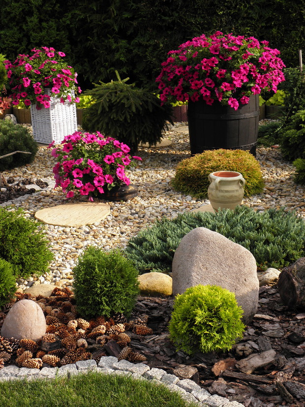 Beka pełna .......  surfinii ;)