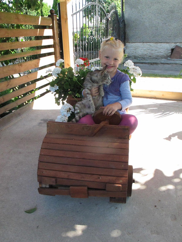 Córka Julia w kwietniku samochodzie z pelargoniami i kotkiem