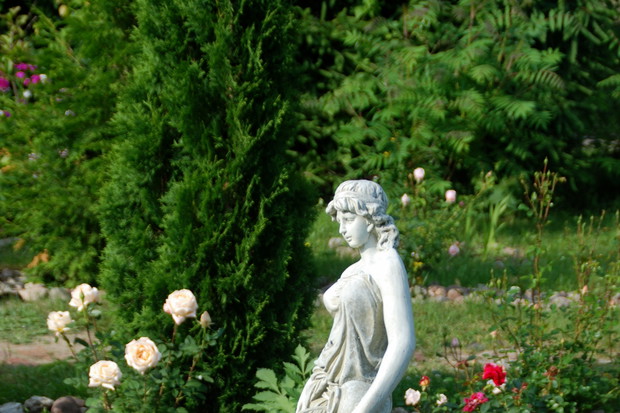 Dama z wodą i róże angielskie