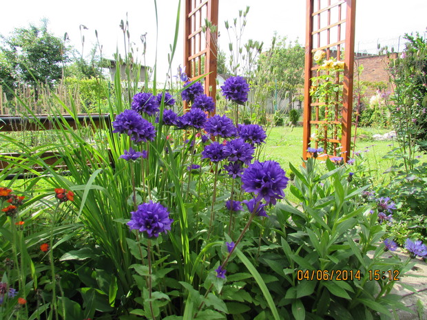 Dzwonek  skupiony...