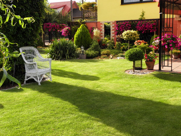 Gościu siądź pod mym liściem.......