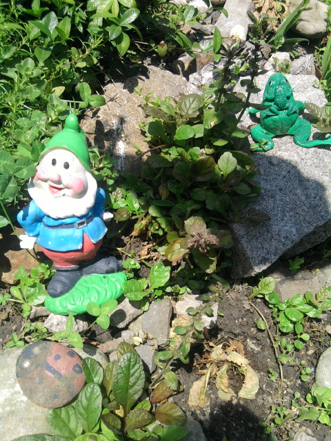 Jest tutaj sporo mieszkańców..