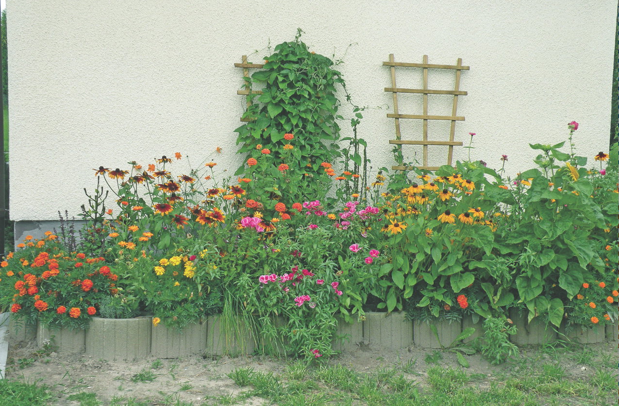 Każdy gazon, w którym rosną kwiaty jest unikalną donicą.