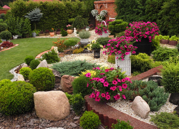 Kule z bukszpanu i tui przycinam samodzielnie jak i wiele innych iglaków, tworzę z nich różne formy. Ponieważ uwielbiam surfinie, sadzę je w misach, skrzynkach i wiszących donicach :)