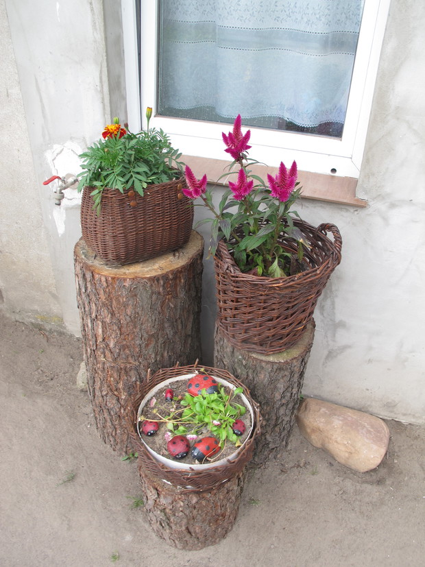 kwiatki w koszach na pniach...z malowanymi własnorecznie biedronkami