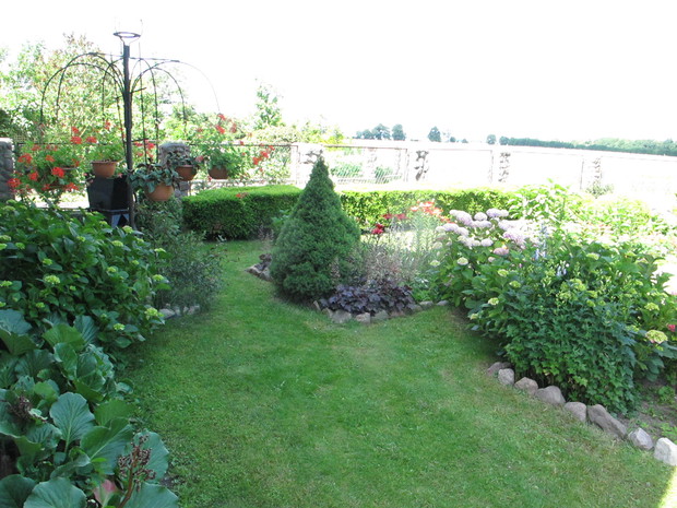 kwietnik z pelargoniami