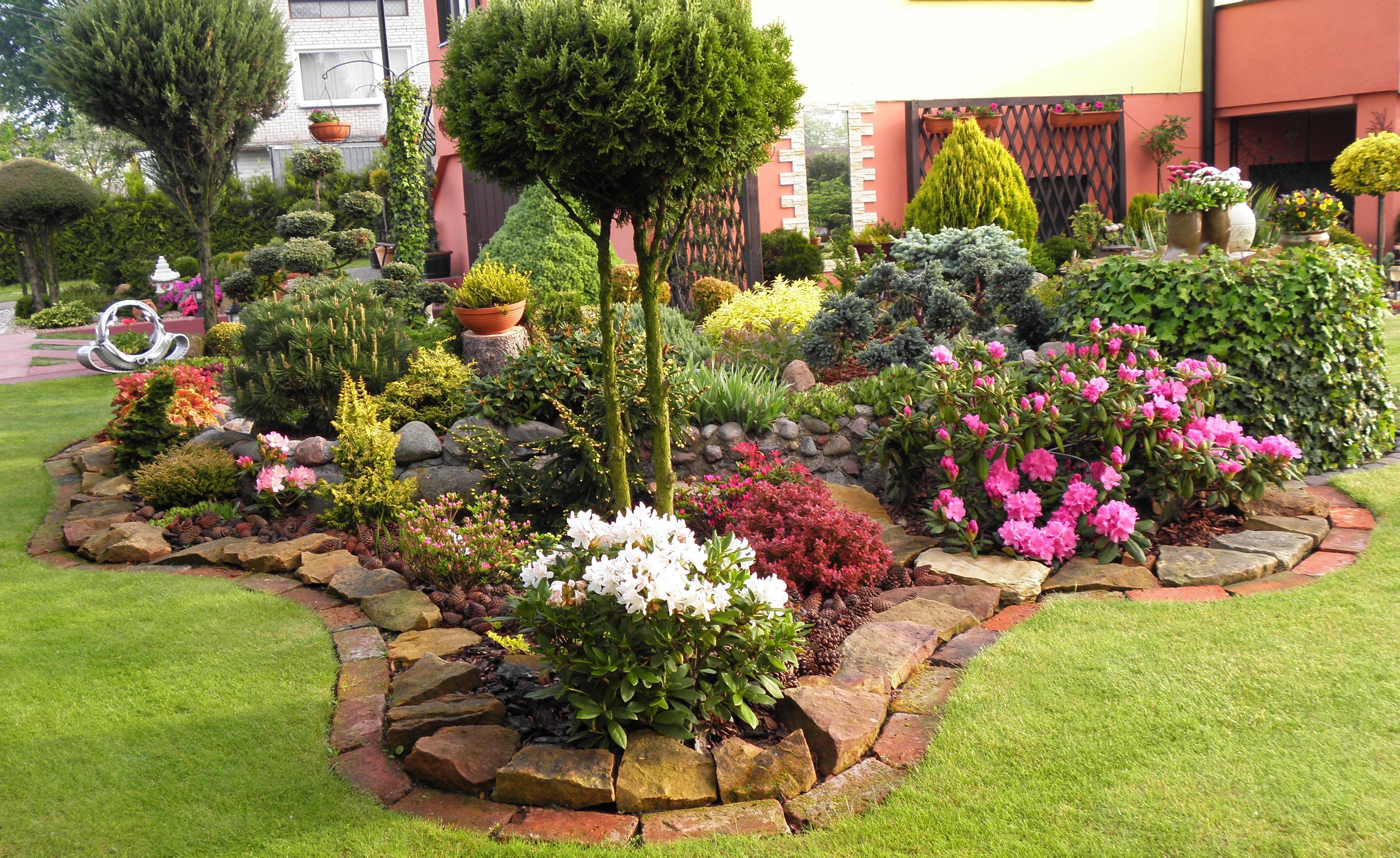 Majowy skalniak z rododendronami, azaliami i innymi roślinami :)