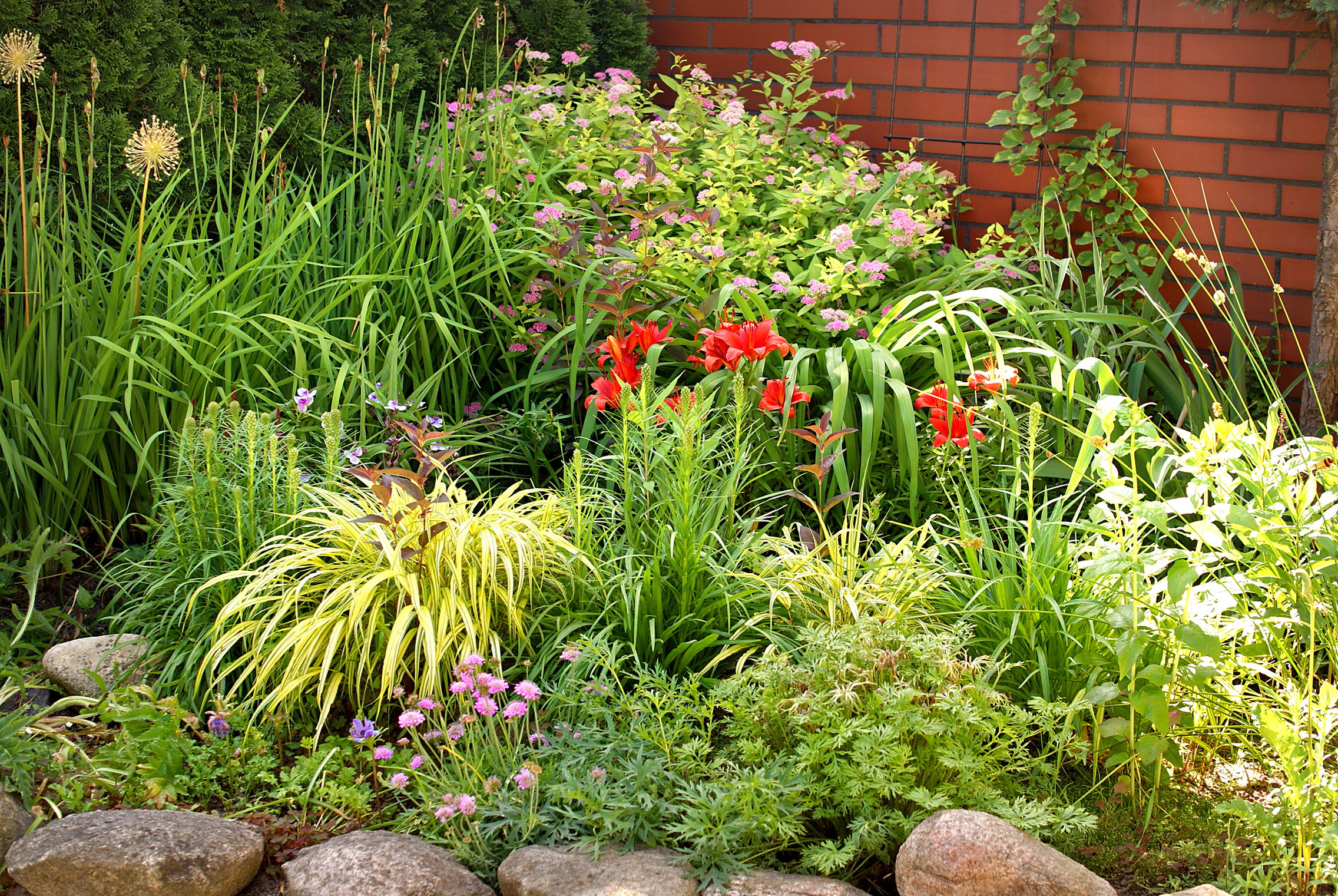 Mój kawałek ziemi. Ta część ogródka ma 9 lat.