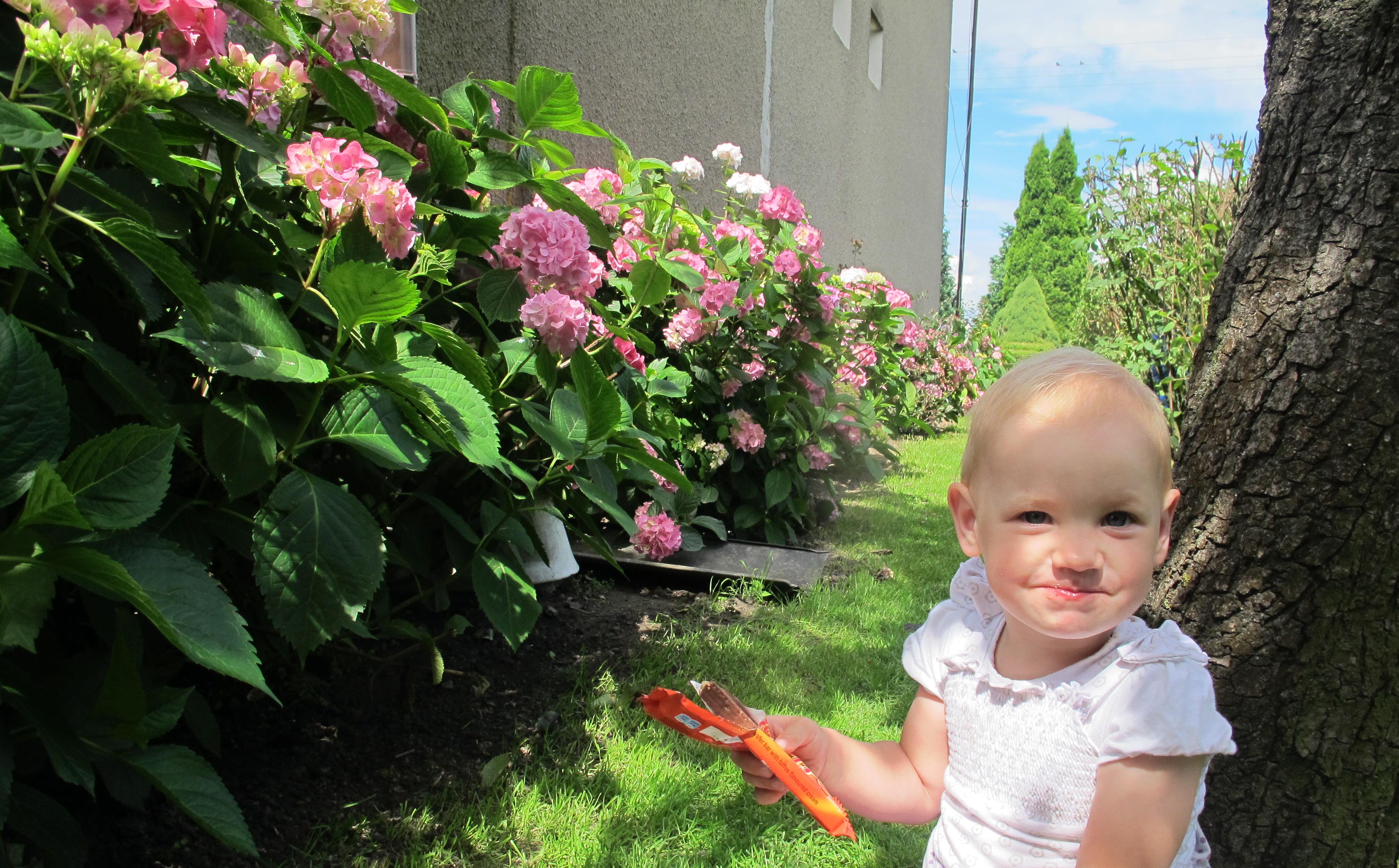 nie ma jak to odpoczynek wśród tak pięknych kwiatów