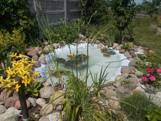 oczko które ma dopiero 1 rok 