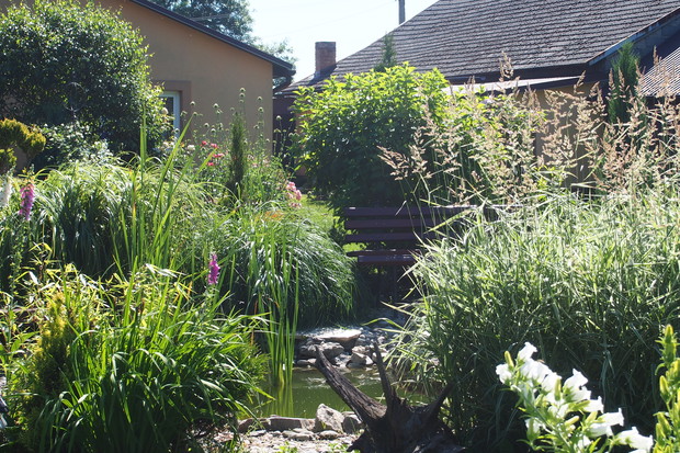 Oczko wodne pięknie otoczone przez trawy.