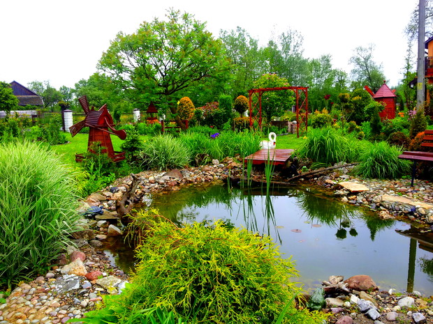 Oczko wodne ulubione miejsce całej rodziny :) 