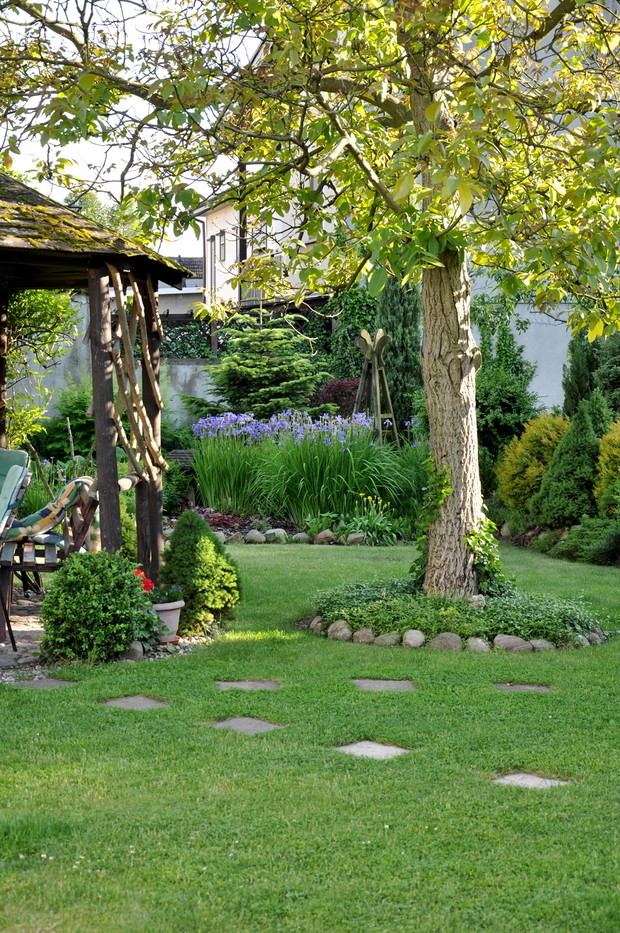 orzech włoski,a pod nim barwinek