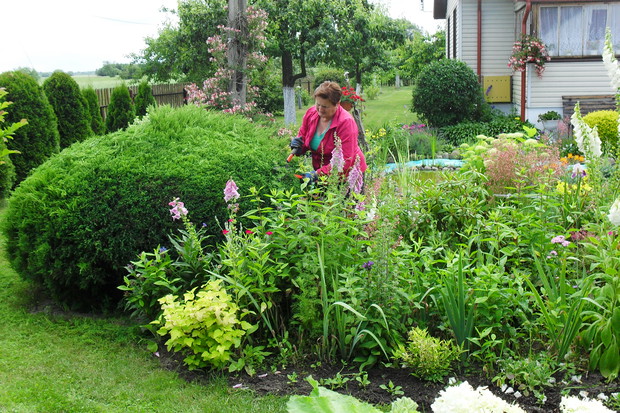 Pielęgnacja ogródka 