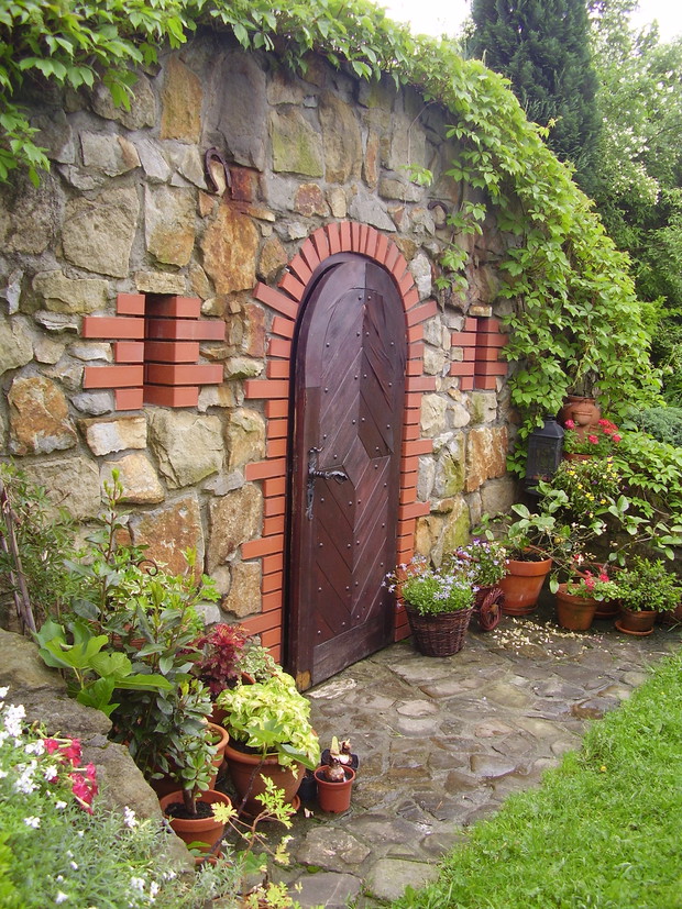 Piwniczka ziemianka- roślinność 