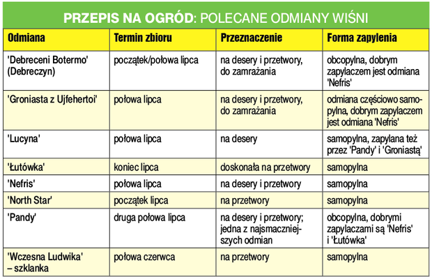 Przepis na Ogród: Polecane odmiany wiśni.