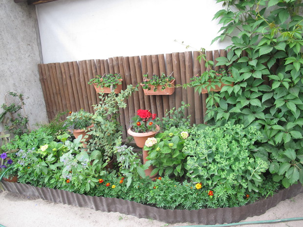 rabata kwiatów od begoni po fuksje ,sanwitalie,ogórecznik , surfinie, konieczynki