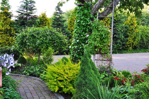 rabata pod jabłonią