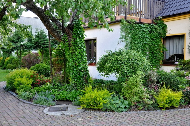 rabata pod jabłonią