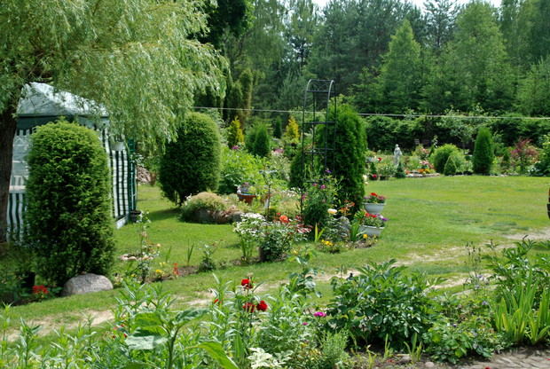 rzut od strony północnej