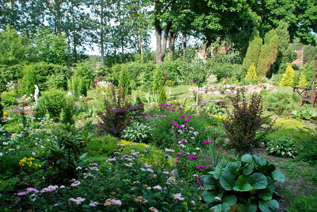 rzut z daleka od południa 