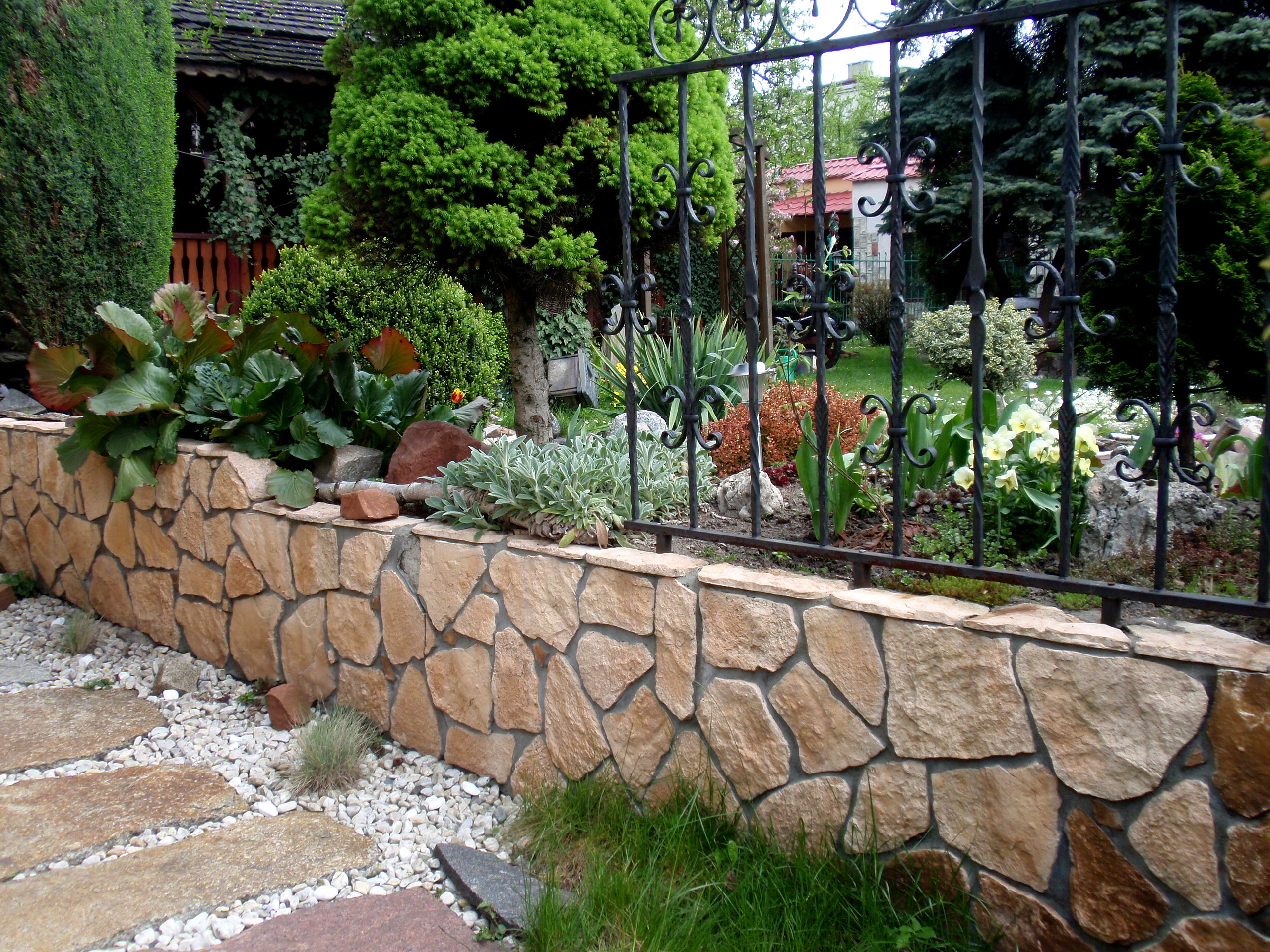 skalniak i kamienna ścieżka