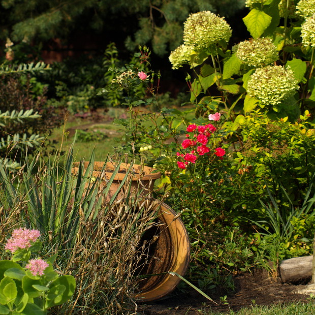 słoneczne dni późnego lata są tu przepiękne