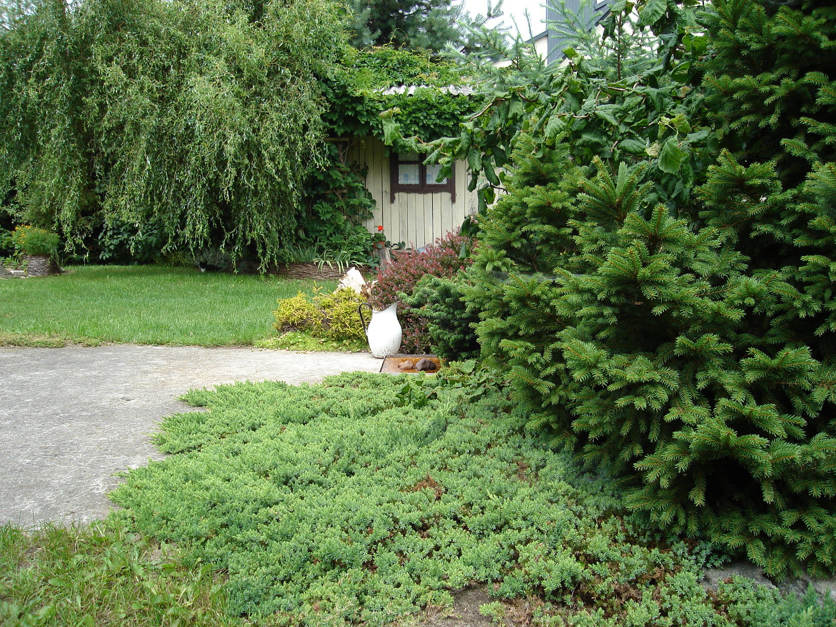 W cieniu wierzby na ławce pod oknem kawa smakuje wyśmienicie.
