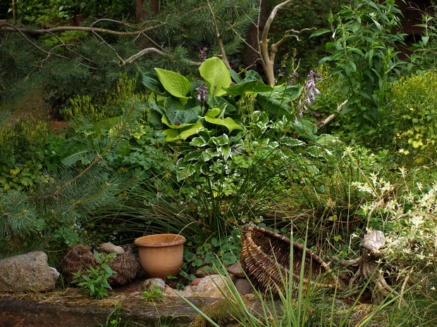 w tym miejscu kanalizacja traci swą szlachetną nazwę :) nie widać, prawda?