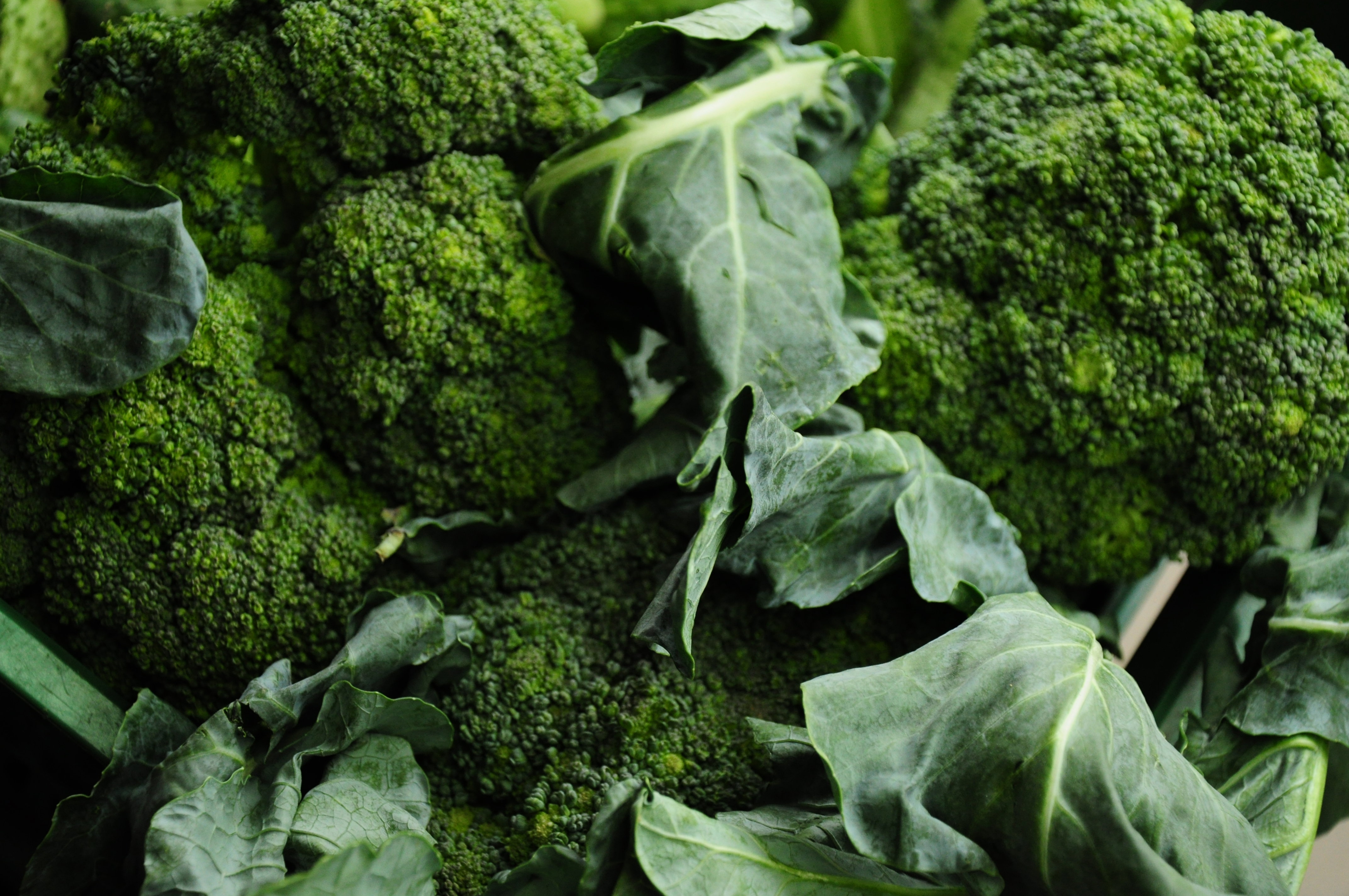 Warzywa najlepiej zrywać, kiedy są naturalnie wychłodzone, a więc nad ranem. Południowy zbiór warto zanurzyć na kilka minut w zimnej wodzie i dopiero potem schować do lodówki.