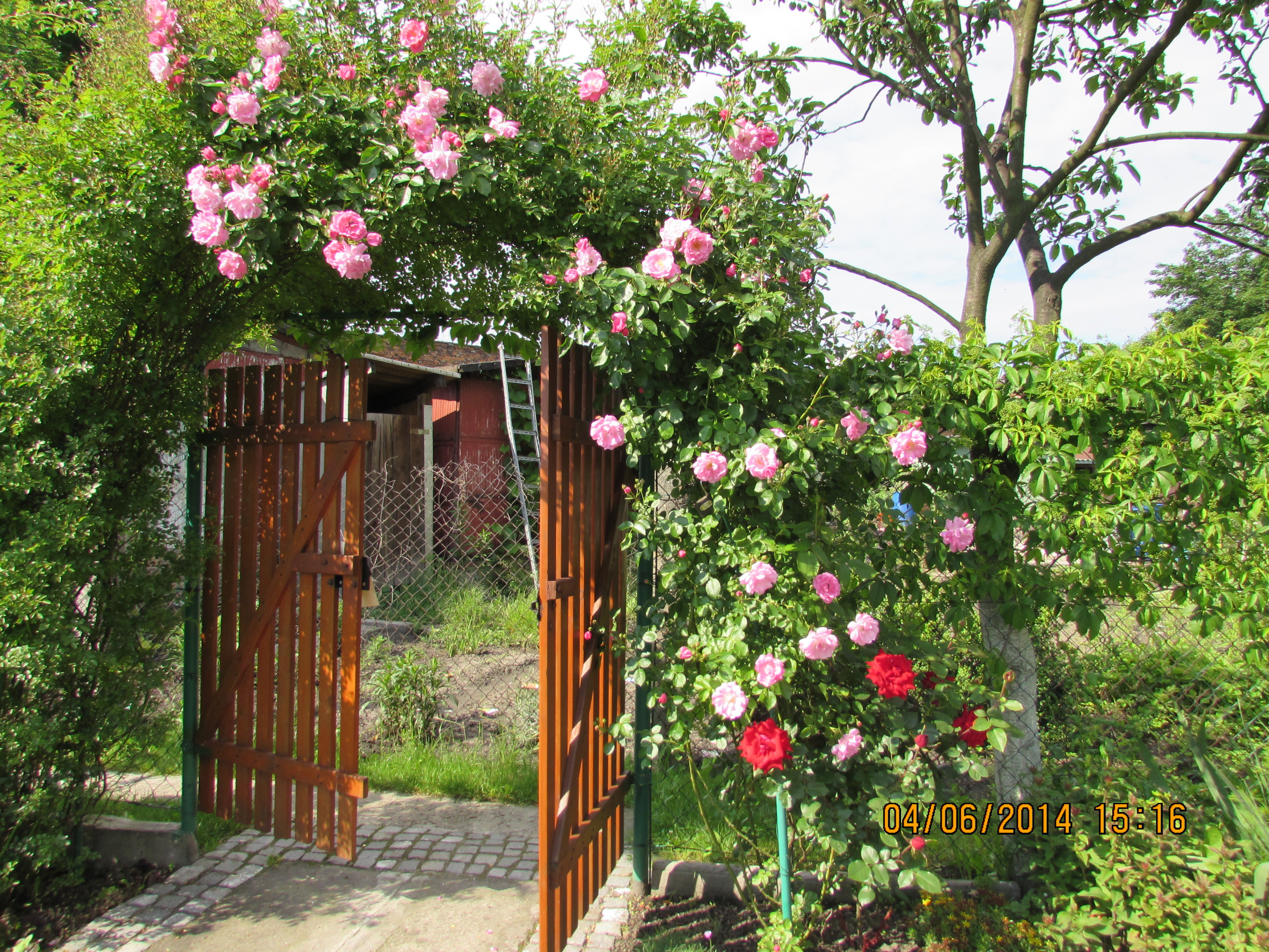 Wejscie ...na działkę 