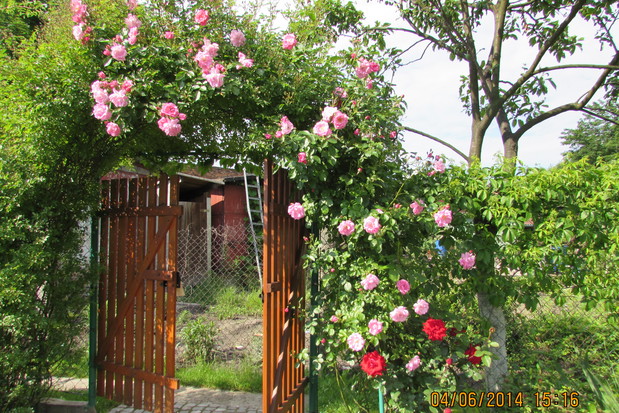 Wejscie ...na działkę