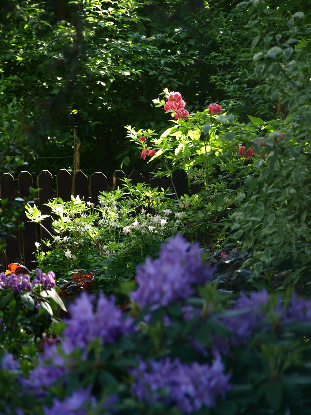 wiosenna eksplozja barw