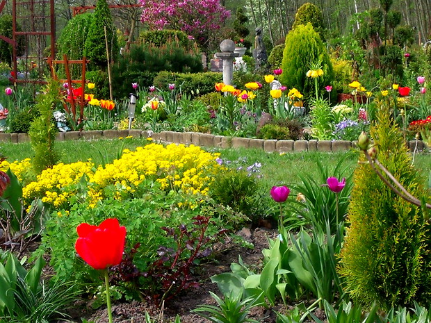 Wiosna w moim ogrodzie :) 