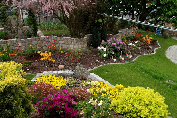 Azalie w odbiciu lustrzanym