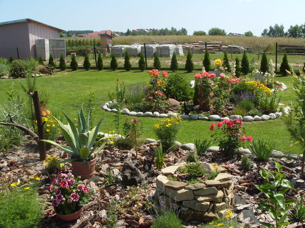 Donica z kamieni w której mieszka nasza koleżanka jaszczurka.