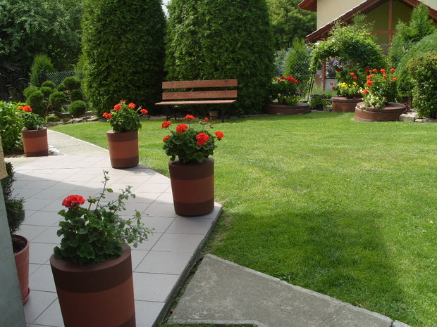 Donice z betonu wykonane przez mojego męża, pięknie wyglądają w nich czerwone pelargonie.