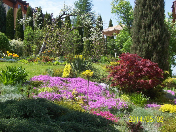 Dywan z kwiatów majowych.