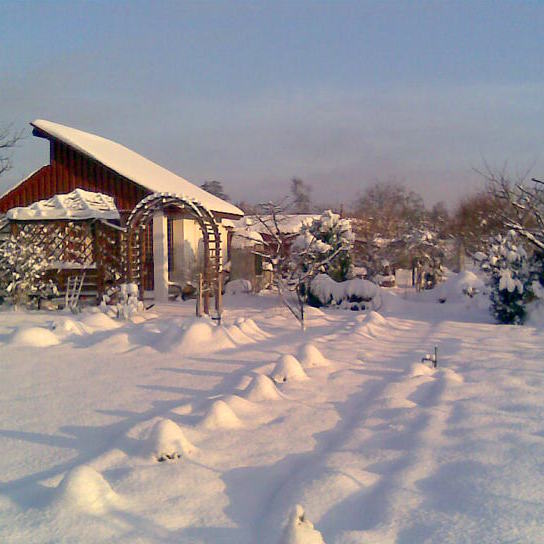 Działka zimą też jest piękna. Pod poduchami śniegu ukryte są kule bukszpanowe.