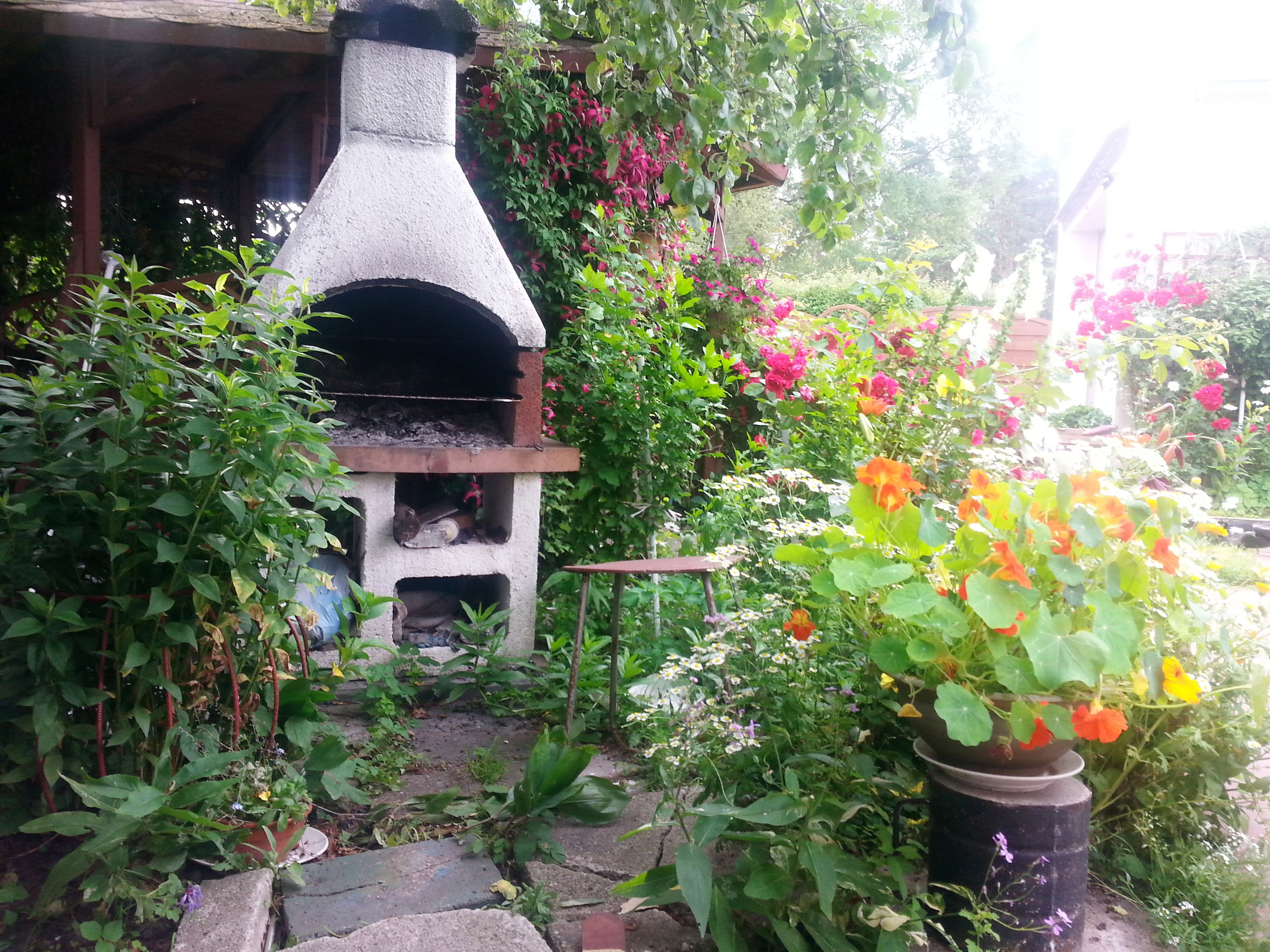 grill wśród kwiatów 