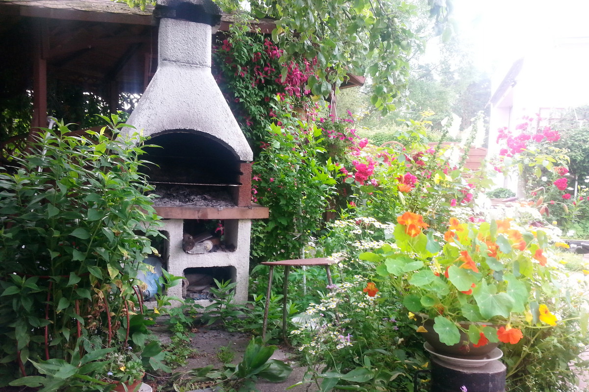 grill wśród kwiatów