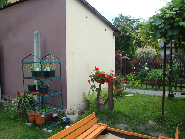 Hm... próba zrobienia mini ogródka z ziołami:)