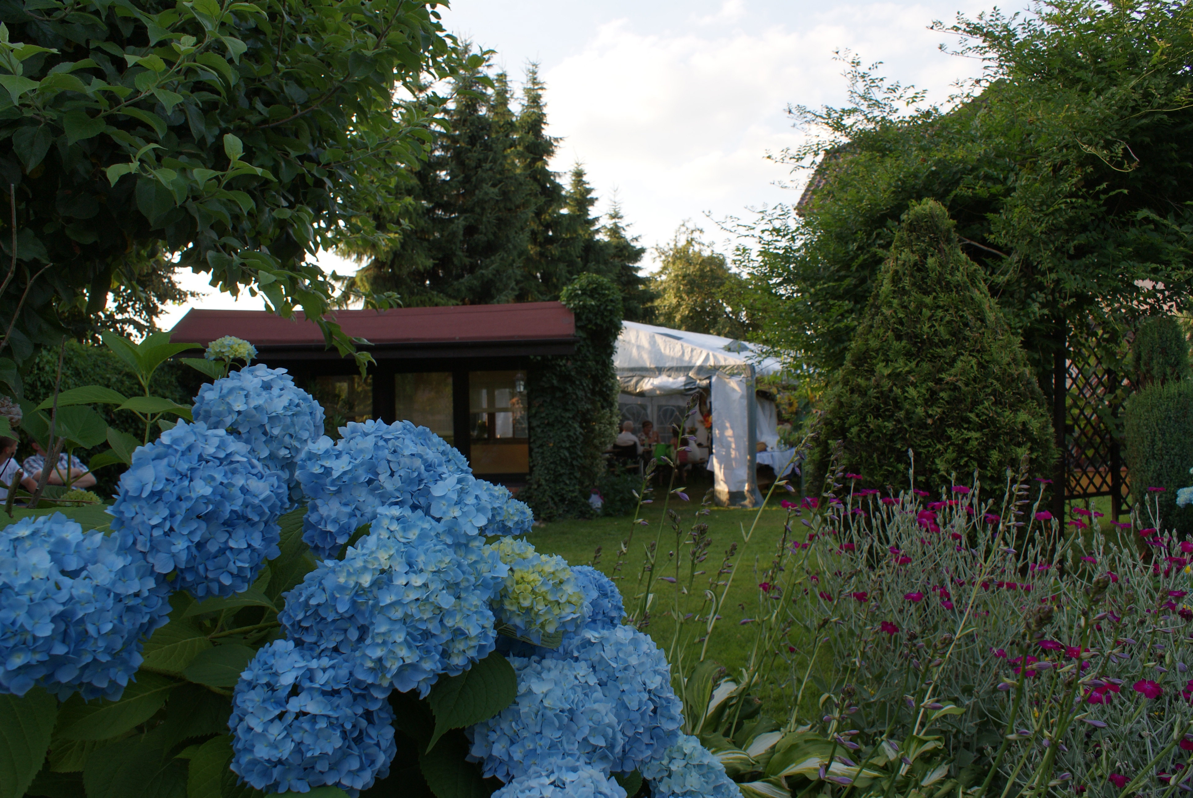 Impreza w ogrodzie jest zawsze udana:-)