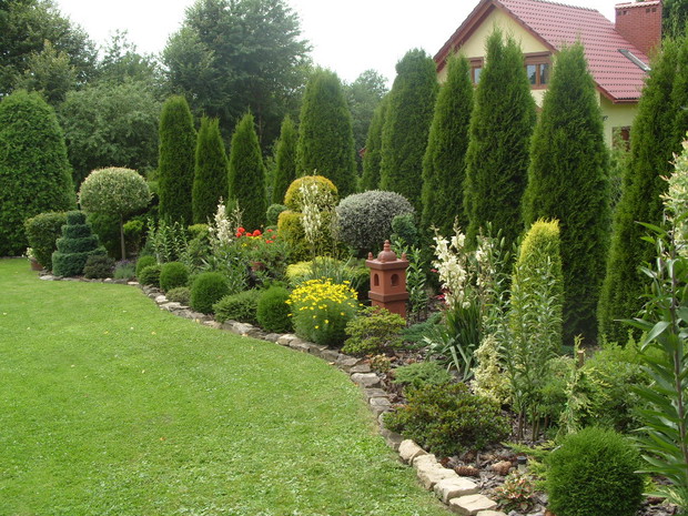 Jedno z pierwszych moich nasadzeń.